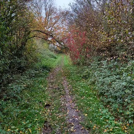 Huize Placida Bed & Breakfast 3*