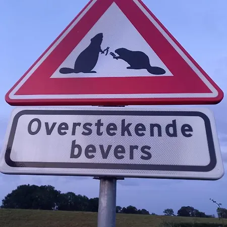 Bed & Breakfast Huize Placida