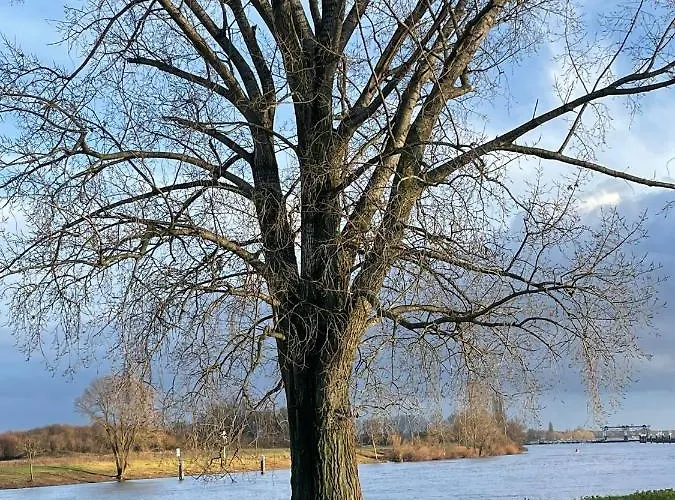 Huize Placida Panzió Boxmeer