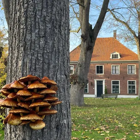 Huize Placida * Boxmeer