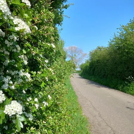 Huize Placida 3* Boxmeer