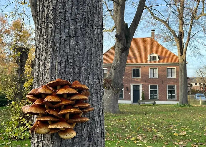 Huize Placida 3* Boxmeer