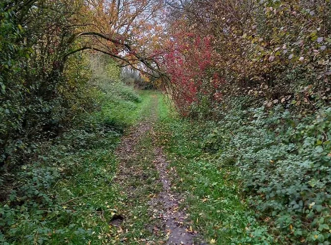 Huize Placida Bed and breakfast 3*