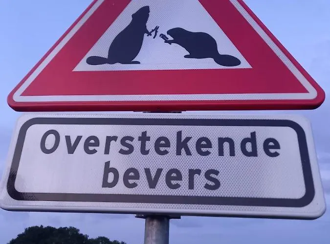 Bed and breakfast Huize Placida